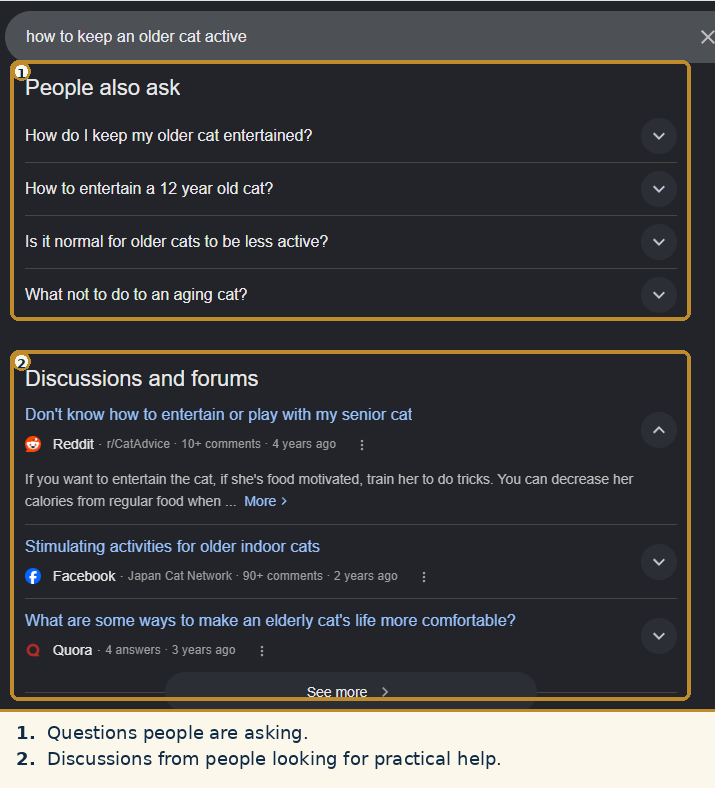 Google results for how to keep an older cat active showing People also ask questions and discussion results from people looking for practical help.
