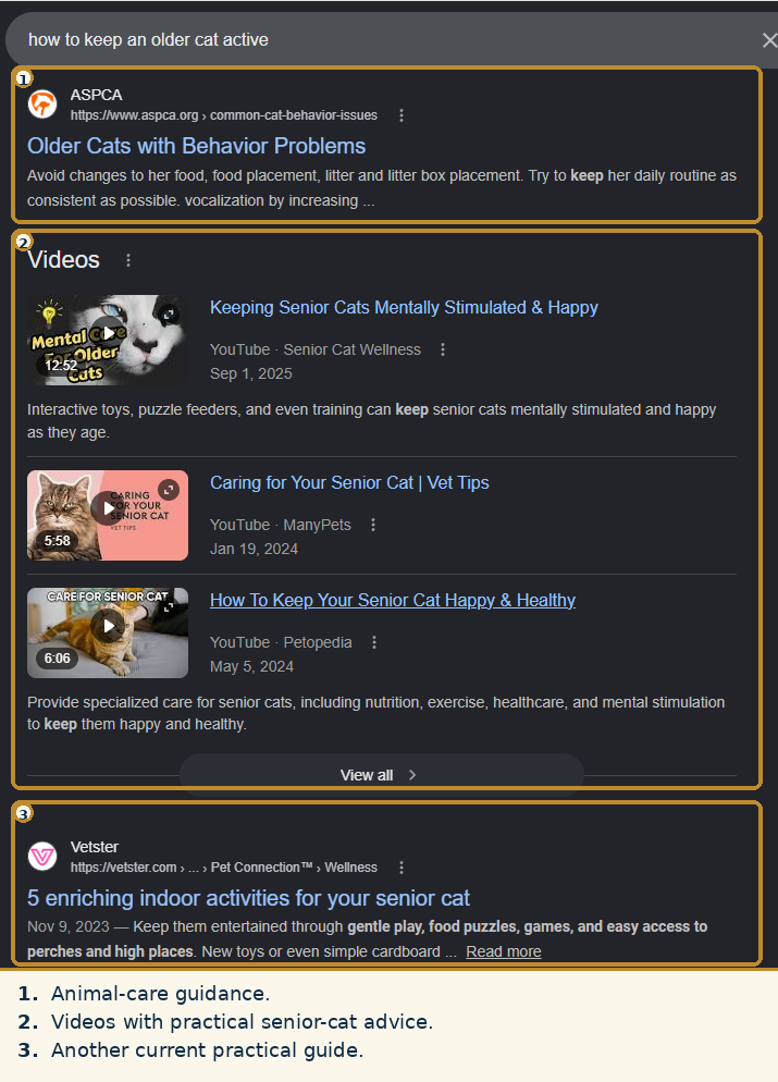 Google results for how to keep an older cat active showing animal-care guidance, videos with senior-cat advice and another current practical guide.