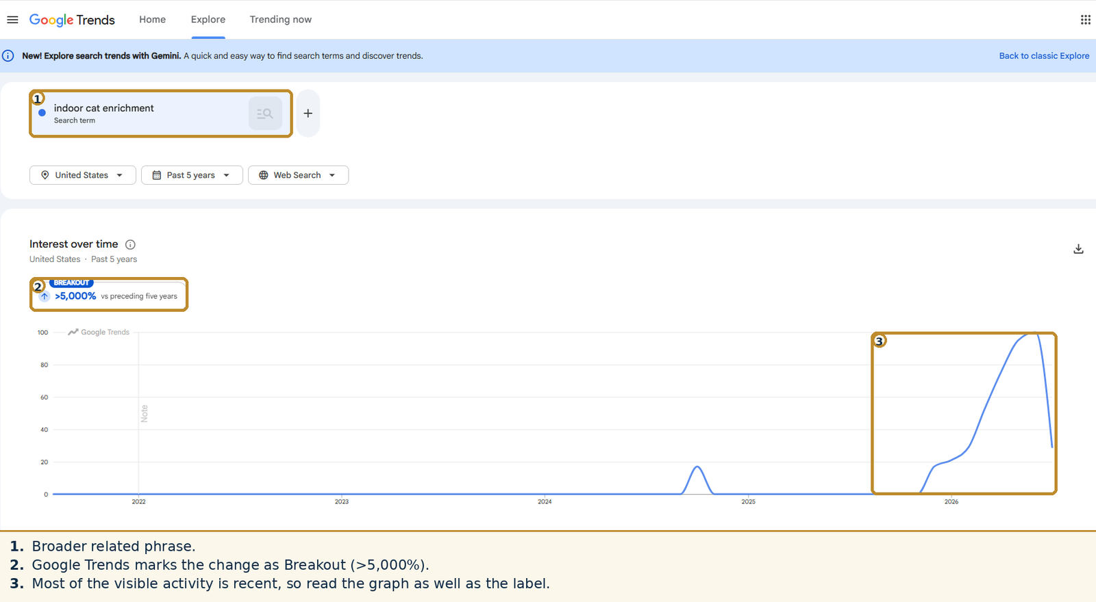 Google Trends for indoor cat enrichment in the United States over the past five years, showing a recent breakout and strong rise in visible search interest.
